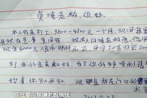 真系冇阴公 东凤老街坊的鱼塘一夜反肚死两万斤鱼 之前收过神秘恐吓信..... 