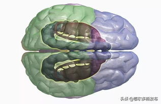 为什么做梦梦到的事,过几天真的发生了 困扰已久的问题有答案了