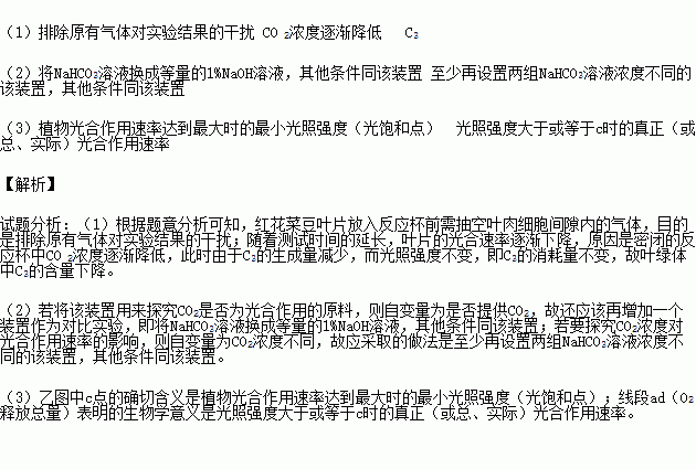 如甲图装置.反应杯的溶液中加入红花菜豆叶片及少量NaHCO3溶液.并连接氧传感器.氧传感器的另一端与计算机连接.以监测瓶中O2浓度的变化 光合作用速率用单位时间内O2的吸收量来表示 