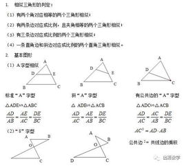 初中数学每日一题 228 相似三角形的对数 