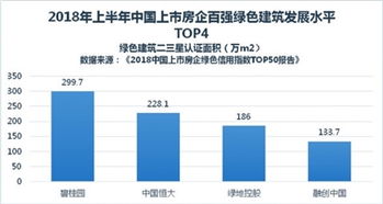 可持续发展之道