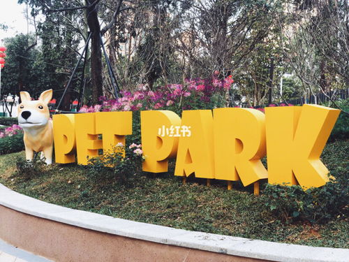 深圳首个宠物公园开 放 啦