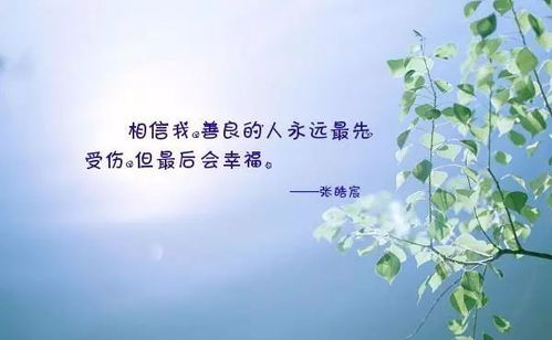 董卿 愿你的善良,带点锋芒