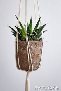 非常漂亮实用的纯手工编织的植物吊篮网兜 太好看了