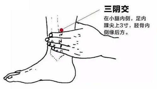 饿瘦 不如 补瘦 中医教您补脾减肥