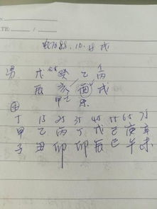 请高手们帮忙看下戊辰年癸亥月乙酉日丙戌时,这个八字婚姻怎么样,能娶到好妻子吗,对自己以后有帮扶吗 