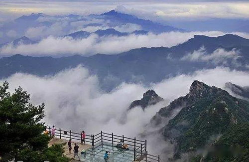 豫见老君山 老君山 洛阳牡丹深度三日游纯玩598元