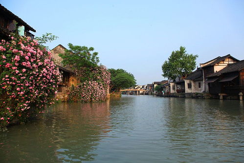 乌镇景区旅游(乌镇古镇的魅力与美景)