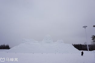 沿着祖国最北国境线,探访零下40度的壮美与梦幻 漠河旅行攻略,一位旅游产品经理的独白 