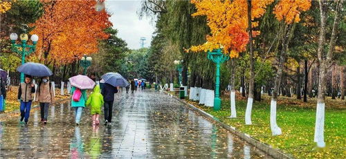 冷空气威力不小,冰点气温来到 未来一周晴多雨少就是冷,颜值还能打