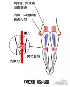 何必优衣库,不如大长腿