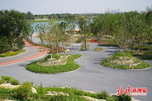 温榆河公园朝阳段开工,五大园区惠及北苑等多个城市组团 