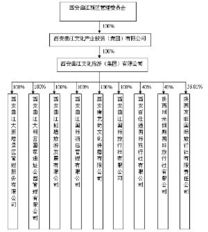 长安信息产业(集团)股份有限公司的情况，有谁晓得？