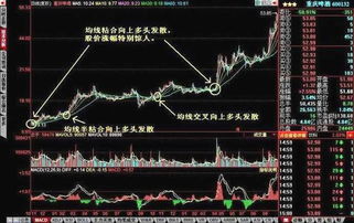 请问熊市中，一只股票，无利好，逆大盘上涨，可能是什么原因？