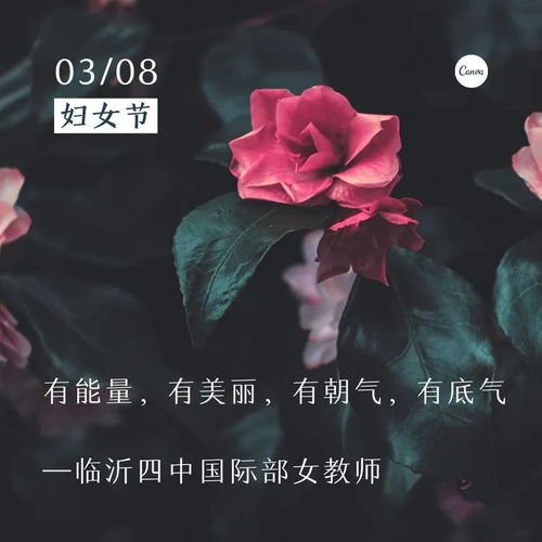 特殊的告白(特殊的告白知乎)