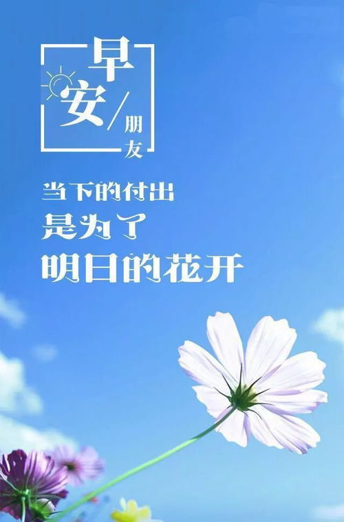 简约早上好励志语录图（早安文案短句干净励志正能量？）