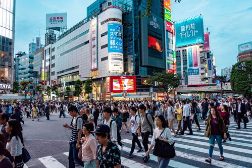 印度 巴西 日本 德国,谁最有可能成为安理会常任理事国