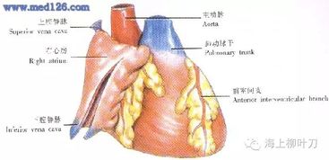 以父之名 我的心从不曾停止跳动,就像我从不曾停止爱你 