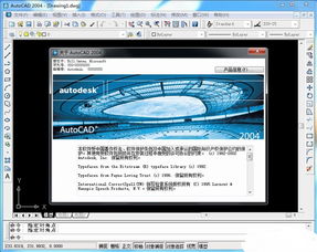 acad2004中文破解版