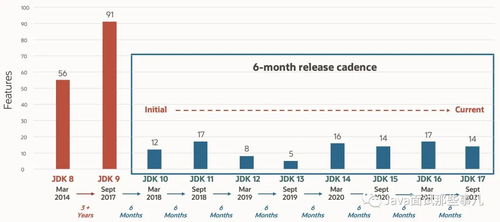 Oracle JDK 终于免费了 网友 are you sure