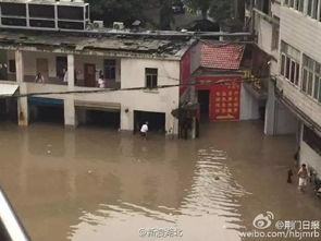 湖北荆门京山易家岭