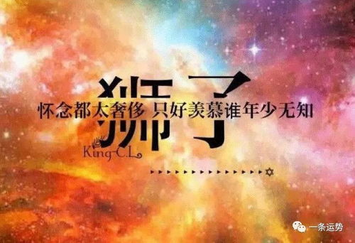 在群体中,总是扛把子担当的星座