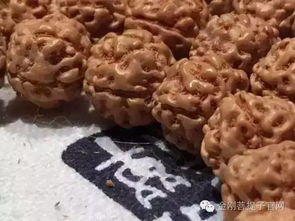 干货 到底什么样的金刚菩提子最好 