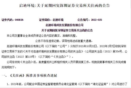 问财网002573清新环境是否被质疑过财务造假