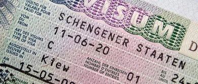 美国h1签证申办流程