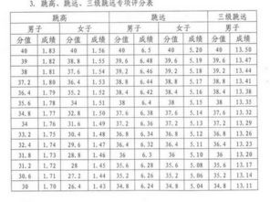 2016高考体育生评分标准 