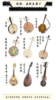 中国民族民间传统弹拨乐器,你认识几种
