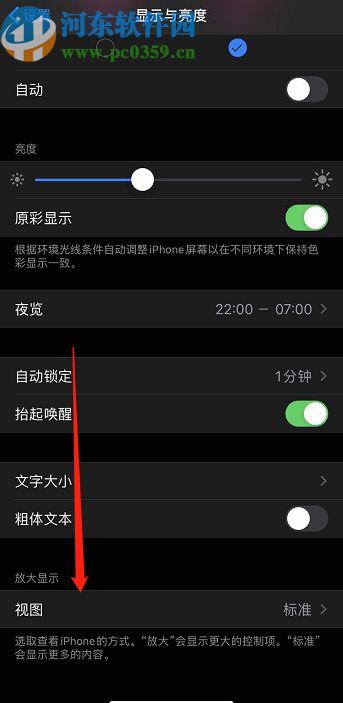 iPhone 11怎么放大应用图标 iPhone 11开启放大应用图标功能的方法 河东软件园 