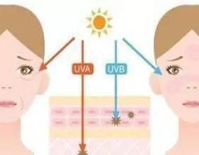 皮肤防晒冷知识(皮肤防晒的重要性)