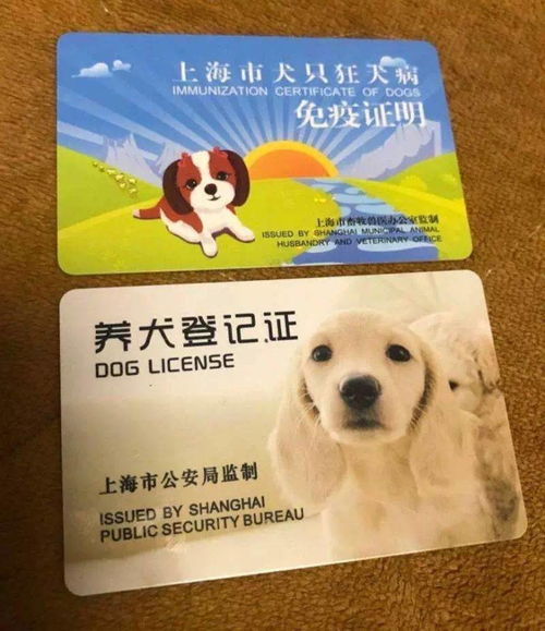 住在郊区,哪里可以办理养犬登记证明