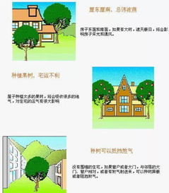 教您轻松学会看房屋风水