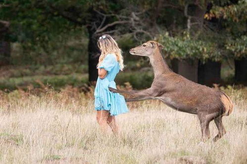 英美女在公园拍摄,鹿儿从后面袭击,管理员 鹿儿发情期别靠近