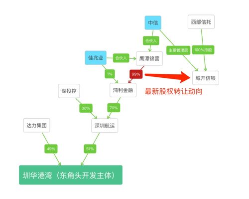 深圳昨晚中信佳兆业有个女的跳楼视频