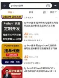 学会Python有哪些可以做的兼职