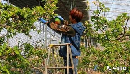 2018年种植什么能赚钱,20年的农业专家建议您种这些 