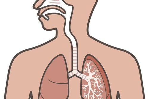 支气管炎吃中药好吗 