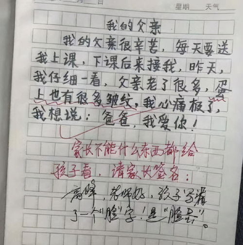 赞美教师的文章