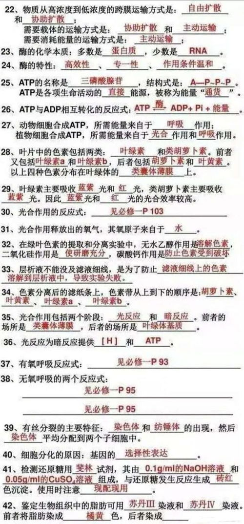 学生个人总结范文150-总结报告的格式及范文？