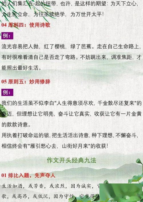 万能作文开头名言