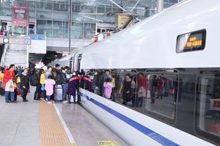 2018幸福列车顺利发车 满载在粤城市建设者回家过年 