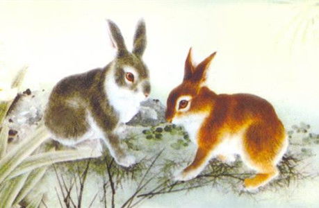 12生肖农历几月出生命最好 生肖兔 