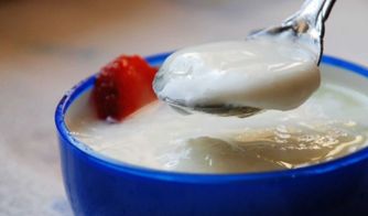 酸奶可以冷冻保存吗,酸奶可以冻成冰来吃吗