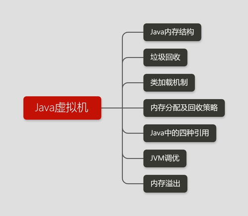 编程入门自学要多久（编程入门自学要多久） 第1张