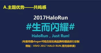 2017 HaloRun发光跑权益招商项目挂牌公告 