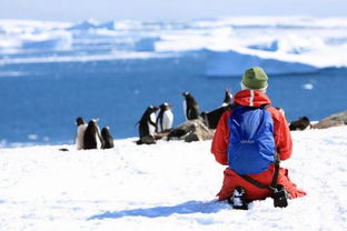 我想去南极旅游,请问都需要准备好什么 怎么才能到达那里 