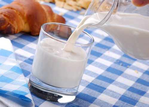 牛奶是碱性食物吗
